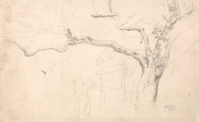 Baumstudie von James Ward